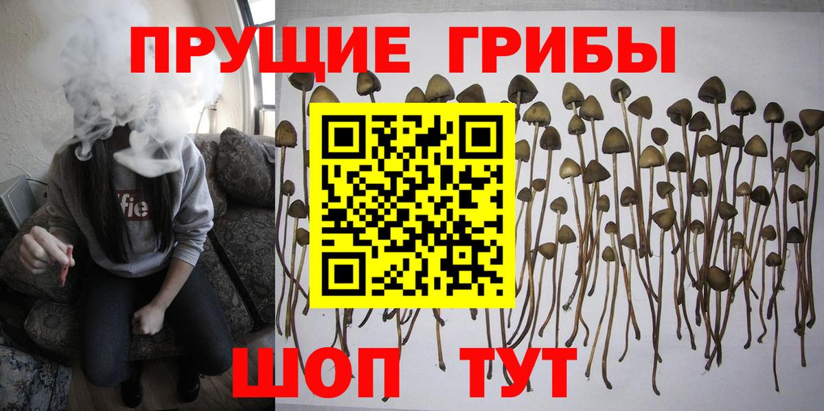 Галлюциногенные грибы мицелий  Вход с VPN  Донецк 